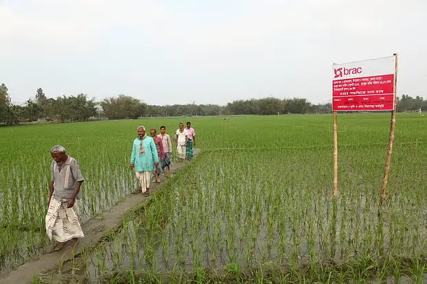 কৃষি ও সামাজিক উন্নয়নে ব্র্যাকের ৫৩ কোটি টাকার বিশেষ কর্মসূচি image 8 Flash Feed