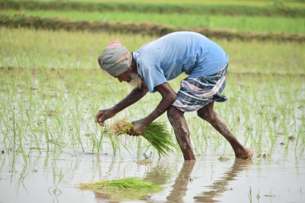 হাওড়ের ক্ষতিগ্রস্ত কৃষকদের সাড়ে ৭ হাজার টাকা আর্থিক সহায়তা: কৃষিমন্ত্রী 2 Farming S scaled 1 Flash Feed