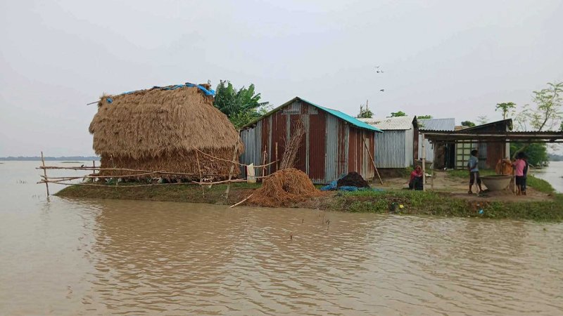 flood 1777876057 Flash Feed